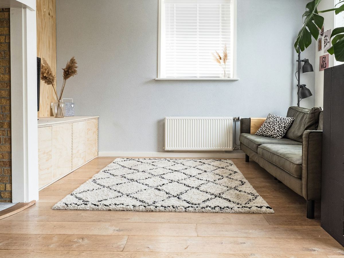 A bright living room with a clean patterned rug on a wooden floor